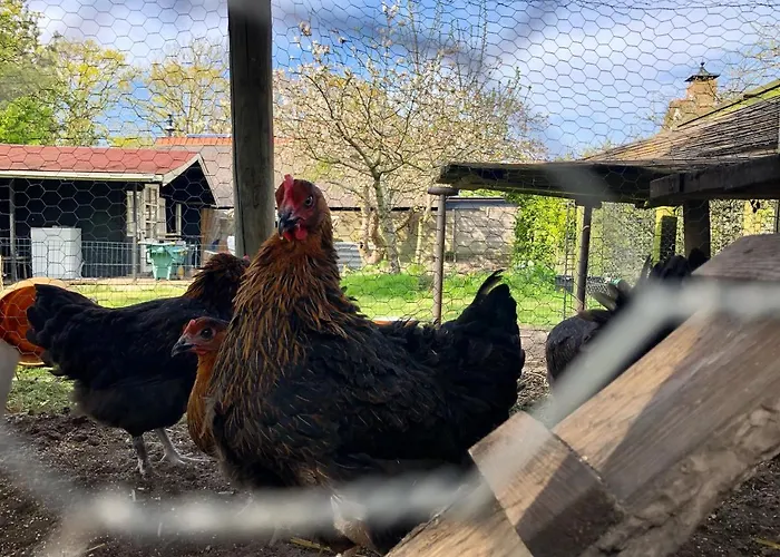 Hoeve Te Gast - Vakantieboerderij
